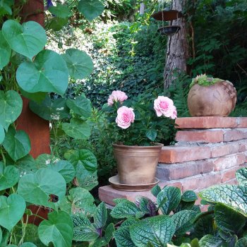 Do čeho zasadit pokojové i venkovní rostliny? Náš keramický květináč je jasná volba!