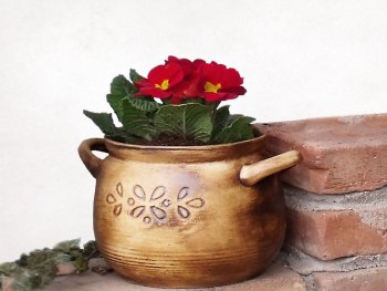 I klasické květináče z keramiky mají své kouzlo. Čím je osázíte vy?