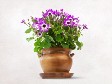 Keramický květináč buclák - malý
